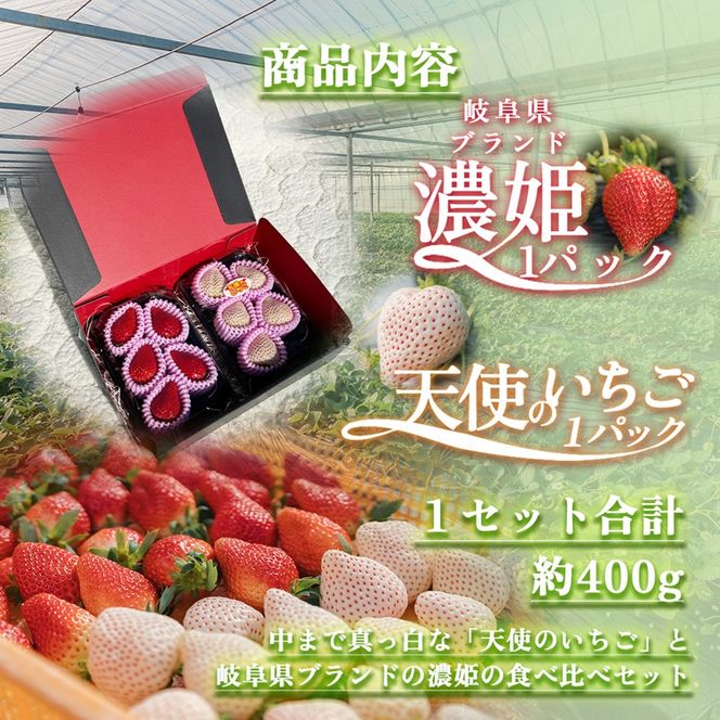 【先行予約】天使のいちご 紅白セット 苺 約400g いちご 詰め合わせ セット 岐阜県 海津市