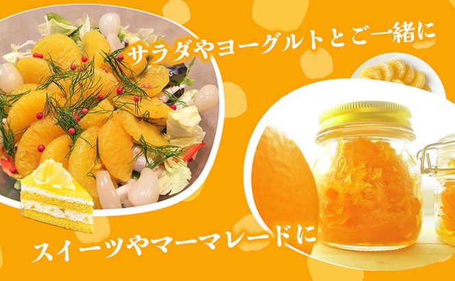 【 小豆島 】 甘夏柑 約10kg 柑橘 あまなつかん 果物 フルーツ 爽やか さっぱり くだもの 国産 香川 香川県 土庄 土庄町 