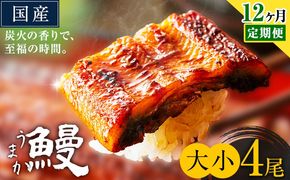 【12ヶ月定期便】うなぎ 大小 4尾  国産 鰻 真空パック おすすめ うなぎの蒲焼 《お申込み翌月から出荷》 ふるさとのうぜい 特上 簡易包装 ウナギ unagi 蒲焼 秋 冬 旬 配送時期 冷凍---mifune_lcl_1341_mo12---