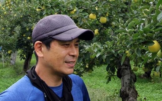 秋映 秀以上 約3kg 6～12玉 ［おぶせファーマーズ］ 果物 フルーツ りんご 林檎 リンゴ 長野県産 信州産 令和7年産 【2025年9月下旬〜10月中旬発送】 ［FH-82］