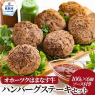 13-91 オホーツクはまなす牛ハンバーグステーキセット