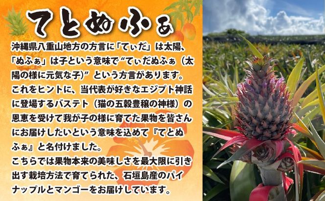【先行予約2026年6月下旬頃から順次発送】最高糖度20度！？クリーミーな味わいが魅力の石垣島産完熟サンドルチェ 3個セット