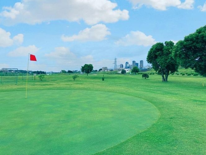 東急ゴルフパークたまがわ　利用チケット【平日廻り放題または土日祝1周（7ホール）】 141305_LF01