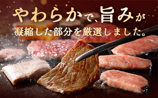 【近江牛　毛利志満】近江牛焼肉3点盛セット　【450ｇ】【S034W】（国産牛　和牛　ブランド牛　ブランド和牛　黒毛和牛　牛肉　肉　高級　人気　おすすめ　神戸牛　松阪牛 に並ぶ 日本三大和牛 近江牛）