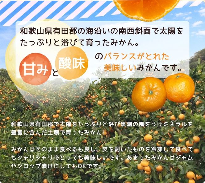 【3回定期便】【2026年先行予約】和歌山 有田みかん 約5kg（SS・Sサイズ）【湯浅町】_ZJ60-T01