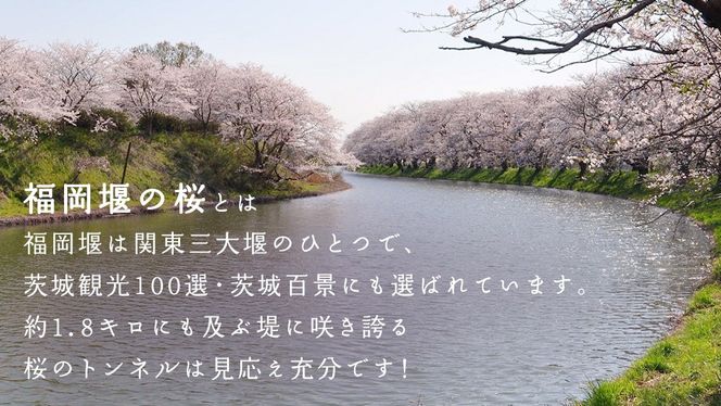 【 福岡堰 桜並木 】さくらオーナー募集【5年間・記念プレート設置】 桜 オーナー オーナー制度 権利 環境保全 自然保護 桜保全管理 地域貢献 祝 記念 記念撮影 写真撮影 記念写真 思い出 フォト 誕生 七五三 ウェディング 結婚 銀婚 金婚 入園 入学 卒業 栄転 定年 還暦 古希 喜寿 傘寿 米寿 白寿 百寿 長寿 願い 決意 [FB01-NT]