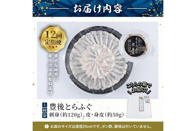 ＜定期便・全12回 (連続)＞とらふぐ刺身 (総量約2kg・2-3人用×12回) とらふぐ ふぐ フグ ふぐ刺し フグ刺し ふぐ刺身 フグ刺身 刺身 鮮魚 冷凍 養殖 国産 大分県 佐伯市【AB201】【柳井商店】