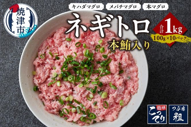 yÉĒÎsza13-107@{ lMg 100g x 10pbN v1.0kg