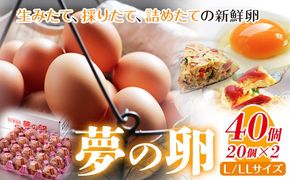 卵 たまご 赤玉 夢の卵 20個入り x 2セット L/LLサイズ《90日以内に出荷予定(土日祝除く)》株式会社めぐみ 岡山県 浅口市 送料無料 大容量 大箱 たっぷり Lサイズ LLサイズ---124_85_90d_23_16000_ss---