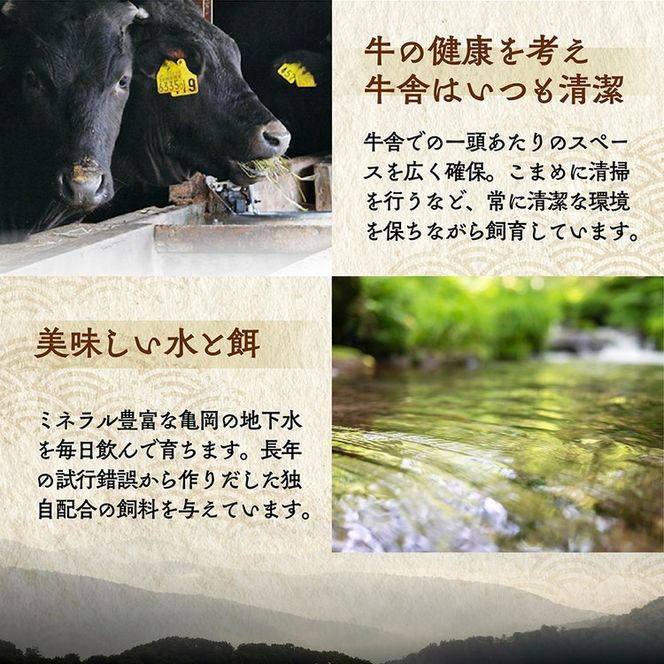 【全6回定期便】亀岡牛 定期便 亀岡牛専門店が厳選 お楽しみ 食べ比べ セット ≪冷凍 焼肉 すき焼き サーロイン ステーキ ローストビーフ 赤身 もも 肉 牛肉 国産牛 黒毛和牛 肉定期便 京都 丹波 BBQ 人気 おすすめ≫ ※離島への配送不可