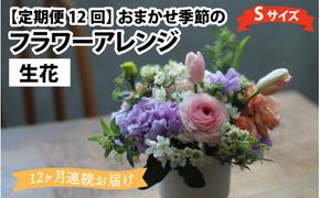 【定期便12回】母の日アレンジok おまかせ季節のフラワーアレンジ（生花）Ｓサイズ×12ヶ月【母の日申込期日：4/26（日）まで】【母の日発送予定日：～5/11（月）まで】お好み 日時指定可能