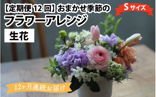 【定期便12回】母の日アレンジok おまかせ季節のフラワーアレンジ（生花）Ｓサイズ×12ヶ月【母の日申込期日：4/26（日）まで】【母の日発送予定日：～5/11（月）まで】お好み 日時指定可能
