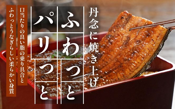 宮崎県育ちのうなぎ蒲焼3尾500g以上≪山椒・たれ付≫_AC-M301