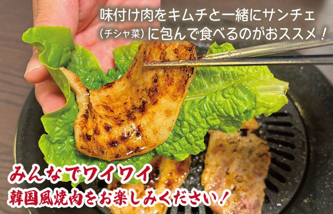 G1083y 【年内発送】サムギョプサル 約1.1kg（550g×2P）プルコギ風味 焼肉 BBQ デジカルビ