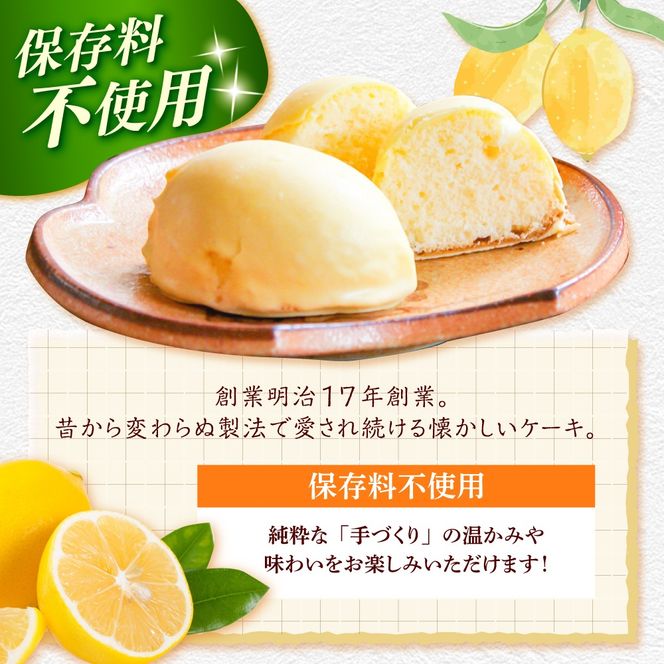 【老舗の菓子屋 鹿の子】レモンケーキ 10個《築上町》【有限会社　御菓子司　鹿の子】[ABAC026]