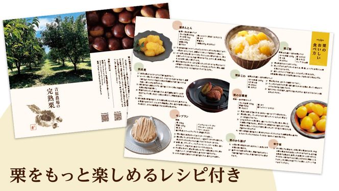 【 吉原農場 の 完熟栗 】 熟成 焼き栗 3袋・栗きんとん 1箱 セット 令和7年産 栗の深雫 完熟  くり クリ 栗ごはん おかし お菓子 果物 フルーツ 数量限定 旬 秋 冬 正月 おせち [CX025ci]