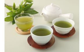 お茶好き必見！中山吉祥園こだわりの八女茶ティーバッグ3種セット【玉露・八十八夜・水出し】 八女茶 お茶 茶 緑茶 煎茶 ティーバッグ 詰め合わせ 詰合せ セット