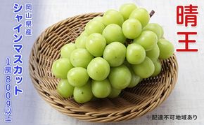ぶどう 2026年 先行予約 シャインマスカット 晴王 1房 800g以上  ブドウ 葡萄  岡山県産 国産 フルーツ 果物 ギフト