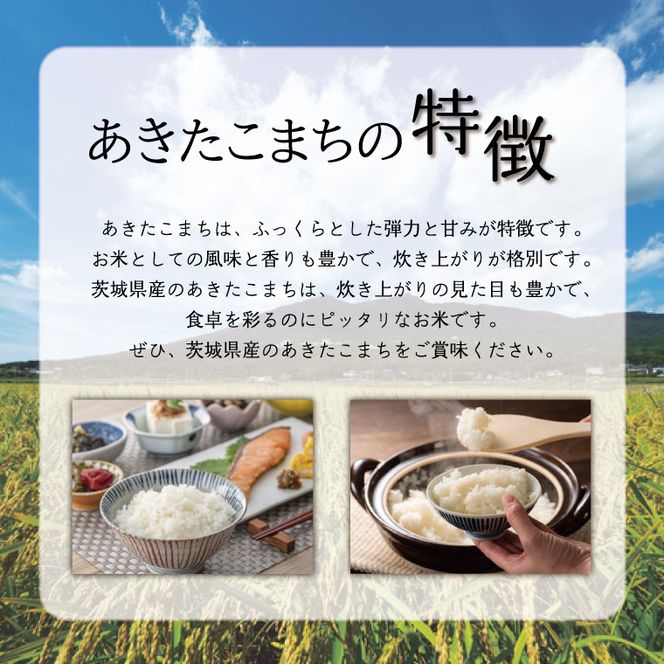 【数量限定】 令和7年産 米 あきたこまち 20kg ( 5kg × 4袋 )|お米 茨城県 行方市(HA-13)