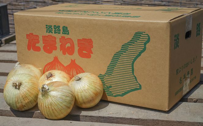 【定期便】名手農園の淡路島特産玉ねぎ10kgの12ヶ月コース　[たまねぎ 玉ねぎ]
