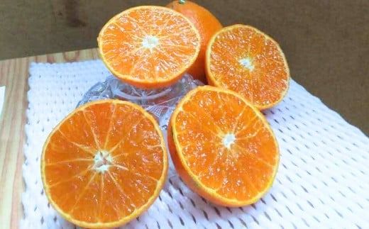 【先行予約】【数量限定】【訳あり】＼農園直送／愛媛県産愛果48号 約4kg（2026年2月下旬より順次発送） IKTV013