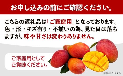 【先行受付】【2026年発送】なか果樹園 アップルマンゴー 家庭用 約1kg （白箱）- 産地直送 先行予約 沖縄県産 ご自宅用 南国フルーツ 旬の味覚 オススメ 沖縄県 八重瀬町