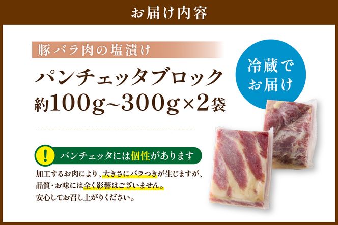 パンチェッタブロック（豚バラ肉の塩漬け）　約200g×2袋 ふるさと納税 豚肉 塩漬け ふるさと納税 ベーコン ふるさと納税 パンチェッタ 豚バラ 塩漬け スペイン料理　NI00021