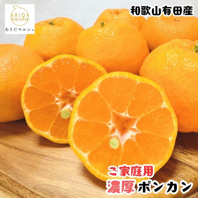［先行予約］極甘 柑橘 有田育ちの 濃厚 ポンカン（家庭用）10kg［MS47］ 303446_XD90198