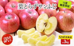 りんご 【12月・1月発送】 蜜入り 糖度13度以上  訳あり品 家庭用 葉とらず サンふじ 約 3kg 【 青森りんご 】 果物 フルーツ 産地直送 糖度測定 褐変 チェック 贈り物 年末 挨拶