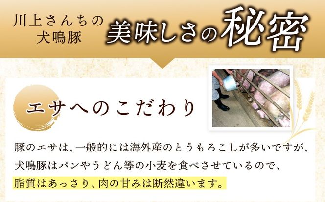 099Z558 【泉佐野ブランド豚】犬鳴豚餃子 75個／手作りプレミアムハンバーグ（10個入り） 全2回【国産 豚肉 ぶたにく 定期便 食べ比べ 犬鳴ポーク 焼くだけ 人気 総菜 冷凍】