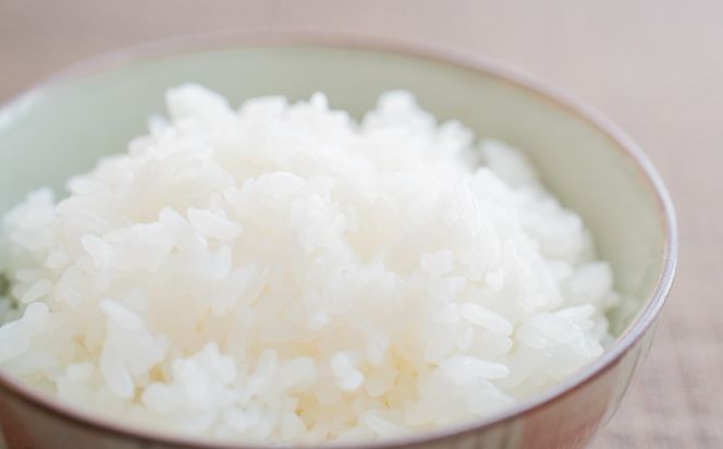 【令和8年産】 ミルキークイーン 白米 5kg 糸島市産 糸島市 / 糸島の恵み コメ こめ ご飯[AGR022]