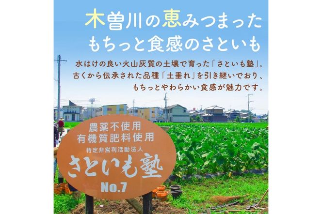 可児のおいしい里芋『さといも塾』2kg 【0011-002】