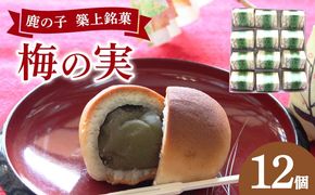 【老舗の菓子屋】築上銘菓「 梅の実 」12 個《築上町》【有限会社 御菓子司 鹿の子】[ABAC019]