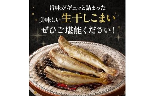 《14営業日以内に発送》北海道産 生干しこまい 1kg×4箱 ( 干物 おつまみ コマイ 4キロ ４箱 海鮮 魚介 加工品 加工食品 干しこまい 魚 生干し 北海道 こまい )【035-0009】