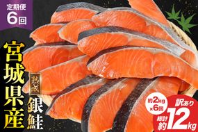 定期便 《6ヶ月連続お届け》 訳あり 宮城県産 熟成 銀鮭 切身 約2kg×6回 計12kg [宮城東洋 宮城県 気仙沼市 20564499] 魚 鮭 海鮮 国産 さけ 鮭 甘口 サケ 鮭切身 シャケ 切り身 冷凍 おかず 弁当 支援 事業者支援 サーモン