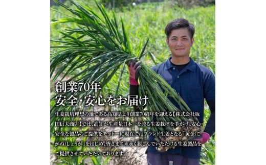【CF-R7hbk】SNS005　国産黄金しょうが寿しがり1kg×3袋 -  ガリ しょうが ショウガ 生姜 坂田信夫商店 黄金しょうが 国産 お寿司 付け合せ 寿司用がり ふるさとのうぜい 故郷納税 15000円 返礼品 高知