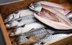 橋立やまいち旨みたっぷりふっくら自慢の塩サバ 魚貝類 加工食品 鯖 さば 冷凍 冷蔵 