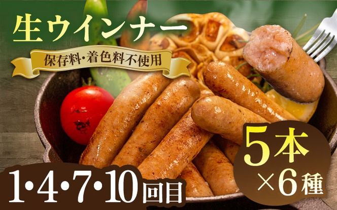 【全12回定期便】 ウインナー / ハンバーグ / ハム 月替り セット 糸島市 / 志摩スモークハウス 生ハム ベーコン [AOA040] 定期便 生 ウインナー ソーセージ ハンバーグ お肉