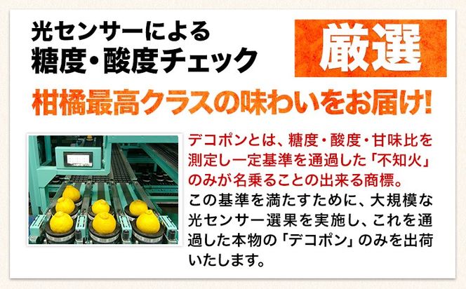 訳あり デコポン 約5kg前後(約12-24玉前後)《2月上旬-4月末頃出荷》 デコポン みかん 不知火 ご家庭用 訳ありデコポン 訳アリ 熊本県産 熊本県 長洲町 糖度13度以上---ng_dekopon_ad24_25_13000_5kg---