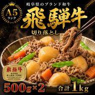 飛騨牛 牛肉 切り落とし 500g×2 計1kg A5 和牛 焼肉 もも肉 モモ バラ カルビ お肉 ブランド和牛 