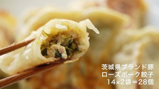 手作り！ 冷凍 餃子 セット ( 通常餃子・ローズポーク餃子 ) 国産豚肉 国産野菜 肉 お肉 豚肉 中華 冷凍 詰め合わせ セット [CQ001ci]