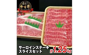 宮崎牛 サーロインステーキ・スライスセット　N023-YZF003