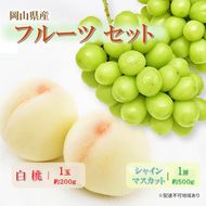 岡山県産 フルーツセット シャインマスカット 1房(約500g) 白桃 1玉(約200g)  果物 フルーツ 詰め合わせ ぶどう ブドウ 葡萄 桃 国産
