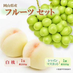 岡山県産 フルーツセット シャインマスカット 1房(約500g) 白桃 1玉(約200g)  果物 フルーツ 詰め合わせ ぶどう ブドウ 葡萄 桃 国産