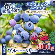 【先行予約】【大きさ形ふぞろい】冷凍ブルーベリー900g（150g×6P） | 無選別 不揃い 国産 個包装 小分け 冷凍 鬼北町直営農園 果実 フルーツ 果物 くだもの 朝食 ヨーグルト　鬼北町役場 日吉支所 愛媛県 ※2026年8月～発送