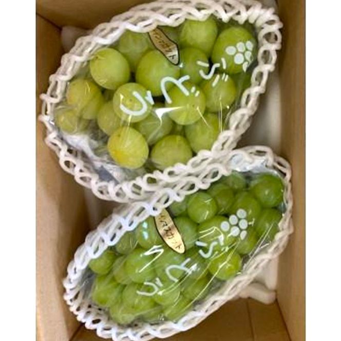 ［先行予約］シャインマスカット 約3kg（4房）［IKE326］ 303446_BB97395