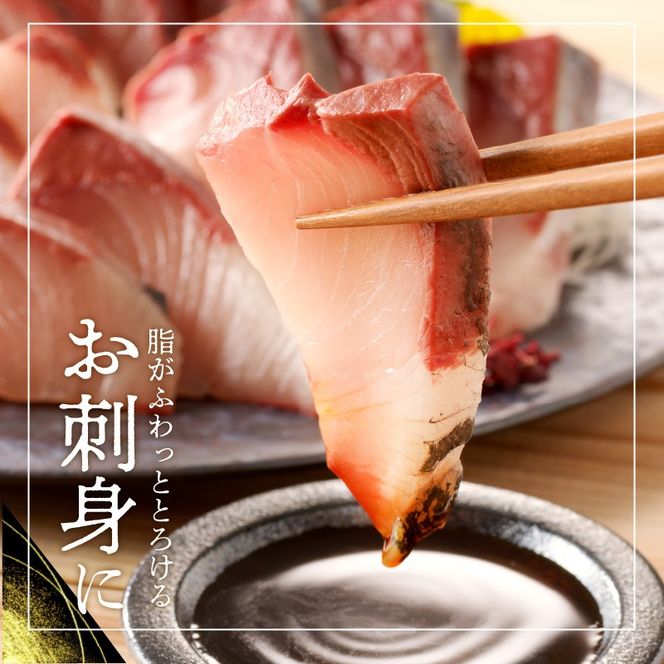 【10月～2月発送!!】まるごと一本！大和ブリ内臓処理済み刺身ぶりしゃぶ煮物 N072-YC630
