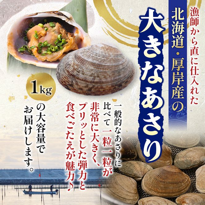 北海道 厚岸産 あさり 500g×1パック (合計500g) 大中混合 アサリ 魚貝 海 美味しい 栄養 旨み 砂出し 水洗い 冷蔵 冷凍保存可能 便利