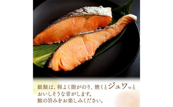 和歌山 魚鶴仕込みのだし漬け 銀だら 切身4切 銀鮭切身4切 塩さばフィレ4枚 真空パック入 小分け 株式会社魚鶴商店《30日以内に出荷予定(土日祝除く)》 和歌山県 日高町 銀だら 銀鮭 塩さば 切り身 切身 ---wsh_fuot105_30d_25_17000_12p---