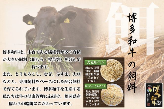 【B-171】博多和牛 モモ焼肉用